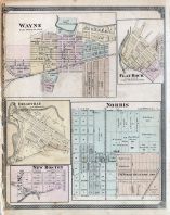 Wayne, Belleville, Flat Rock, New Boston, Norris, Wayne County 1876 with Detroit